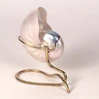 Nautilus shell showing pearly, iridescent finish mounted on brass wire stand from front angle.