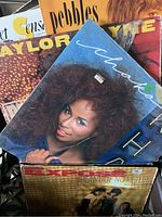 Image showing album covers of Taylor Dayne, Pebbles, Chaka Khan, and Expose 12 inch records.