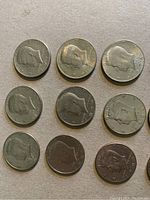 Photo showing a selection of Kennedy Half Dollar coins arranged in a grid, displaying obverse side with JFK profile and visible mint years ranging from 1974 to 1983.