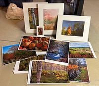 Photo showing multiple photographic prints including matted signed print and assorted fall scenes with trees and gourds