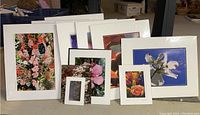 Group view of 13 photographic prints of various flowers with white mats and packaging material visible.