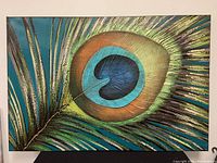 Framed full view of the textured peacock feather print on canvas