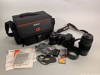 Full grouping of camera body, lenses, carrying case, strap, battery, charger, cables, lens hood, memory cards, manuals