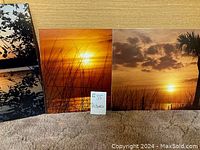 Three landscape photo prints displayed upright, showing sunset scenes with silhouetted grasses, palm tree and trees, on carpeted floor.