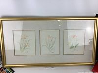 Full front view of framed triple floral watercolour set showing gold frame and three floral paintings.