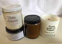 Four mixed candles grouped including Hello Autumn, Satsuma, Spruced Up!, and Cats themed candle.