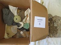 Box of assorted mineral and fossil specimens including quartz crystals, sea urchin shell, and obsidian