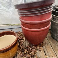 Stacked view of the three red plastic plant pots showing size variation and exterior surfaces, positioned on wooden floor with leaves and other pots nearby.