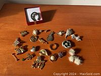 Overview of 20 assorted brooches displayed on a wooden surface with a small red box containing a horseshoe brooch next to them.