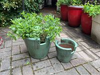 Wide photo showing two green ceramic plant pots on an outdoor patio with one pot containing a plant and the other empty.