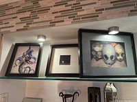 Three framed photo art prints displayed on a shelf with overhead lighting, showing the octopus print, beetle print, and gas mask print.