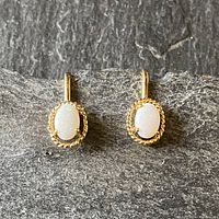 Front view of both earrings showing oval opal stones set in gold filled twisted rope design.