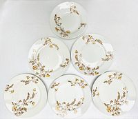 Six Limoges plates arranged in a circular pattern showing the floral designs