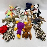 Thirteen assorted TY Beanie Babies plush toys arranged on white backdrop including bears, a panda, dalmatian, ladybug, platypus, leopard print cats, brown dog, and green lizard.