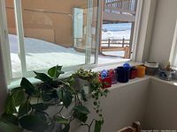 Photo showing trailing leafy green plants on windowsill with several different colored pots containing soil for plants.