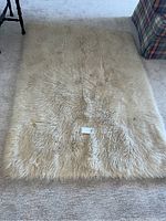 Full view of the cream-colored, long shaggy virgin wool rug laid on a carpeted floor, showing its texture and size.