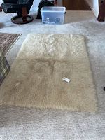Full view of the rectangular cream-colored wool rug laid on carpeted floor.