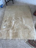 Top-down view of the rug showing the thick wool pile and overall size on carpeted floor.