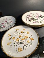 Six plates displayed with a variety of pink and yellow wildflower designs, arranged in two stacks and one in front