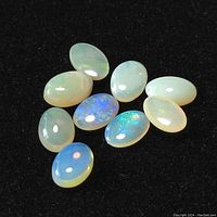Ten oval cabochon opal gemstones arranged on a black background, showing their translucent white to milky bodies with varying play of color including blue and green