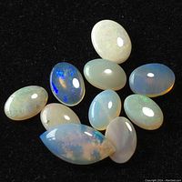 Close-up photo of 11 loose opal gemstones on black background showing various shapes and colors