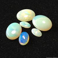Six loose opal gemstones on black fabric background showing color and size variety