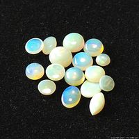Multiple loose opal cabochon gemstones on black background showing variety in shapes and colors with play-of-color typical of opals.
