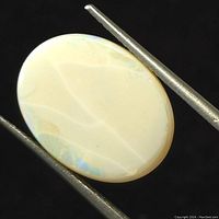 Oval cabochon opal held by tweezers showing white base color and subtle iridescence.