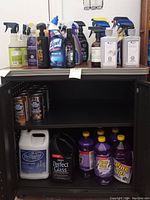 Overall view of shelving with multiple cleaning and home care bottles on display including Lysol, Pine-Sol, Perfect Glass, and Brilliant containers