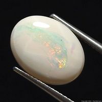 Close-up image of polished oval white opal gemstone showing play of colors held by tweezers against black background.
