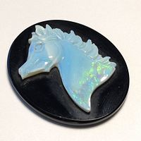 Oval cameo showing horse head carved in shimmering opal with blue and green flashes on black background, front angle