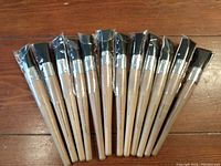 Set of twelve art paint brushes still in original plastic sleeves, wooden handles, black ferrules and bristles, arranged on a wooden surface.