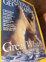 Close-up of a 1979 National Geographic cover featuring a Great Whites theme with relevant article titles visible.