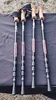 All four black adjustable length outdoor walking sticks aligned on black cloth, showing cork handles and wrist straps.