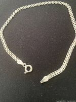 Close-up of the sterling silver bracelet showing the double link chain and spring ring clasp.