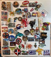 Overview of mixed lot of about 50 assorted collector magnets pinned on a board. Includes various designs from animal shapes, flags, cultural souvenirs, and miniature items.