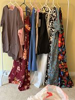 Hanging view of 10 women's clothing items showing variety of dresses, skirts, and tops, all size 2X, new with tags.