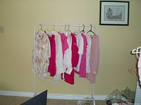 Clothing rack with all 10 ZARA tops hanging, showing colors and quantity.