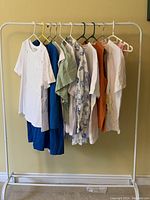 Front view of 10 assorted ZARA tops hanging on a rack, showing variety of colors and styles.