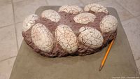 Top angled view of the cluster of white crackled dinosaur eggs in brown matrix base, with pencil for size reference.