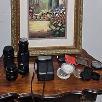 Table display of Nikon camera lenses, assorted lenses, camera pouches and lens caps on wood surface with framed painting background.