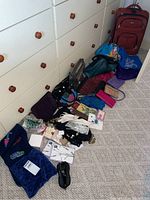 Full spread of assorted fashion accessories including luggage, handbags, wallets, gloves, scarves, and totes laid out on carpeted floor in front of dressers.