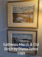 Two framed landscape paintings by Diana Patee (Gatineau Marsh & Old Birch, 1989) hung on a wall