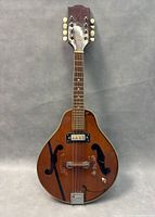 Full front view of the mandolin showing brown wood finish, black decorative stripes, F-shaped sound holes, pickup, bridge, and tailpiece.