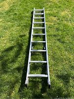 Top-down view of fully extended aluminum ladder placed on grass showing rungs and structure clearly