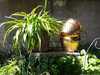 Two brass plant containers with embossed scale pattern and one green spider plant on an outdoor surface with surrounding foliage.