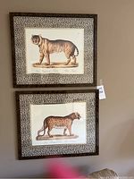 Two framed prints of big cats hung on a wall, showing the full art and frames.