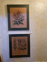 Two framed botanical prints hung vertically on a textured beige wall, tags visible below, showing detailed plant illustrations.