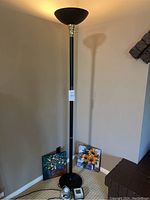 Full view of the black floor lamp near two floral framed paintings and assorted electrical accessories on the carpet.