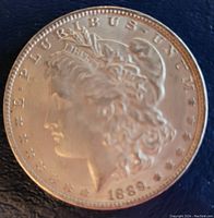 Obverse side showing Liberty head with date 1889 and surrounding inscriptions.